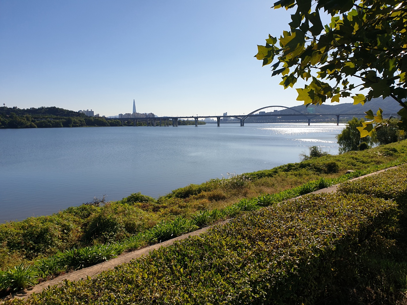 /user/p/plusone/editor/2410/78c2511ea7f12015ddb206850f64679f_1728002243_6511.jpg 이미지크게보기